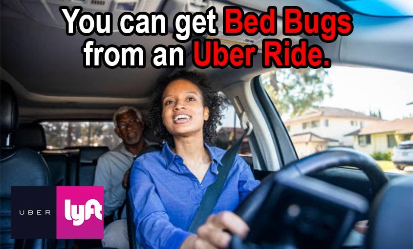 BED BUGS AND SHARE RIDE CONTRACTORS FOR UBER AND LYFT
