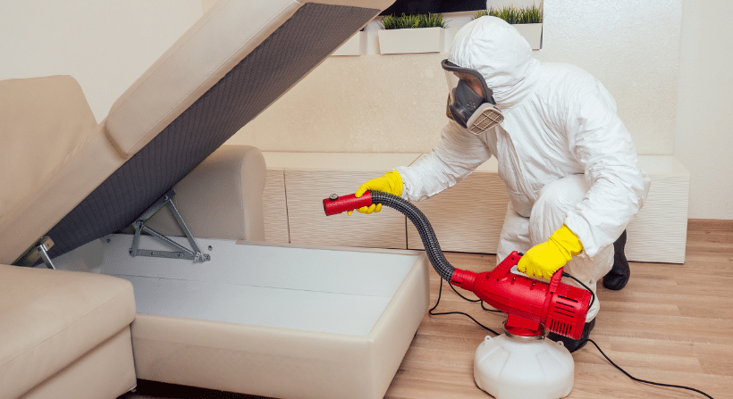 Bed Bug Exterminator