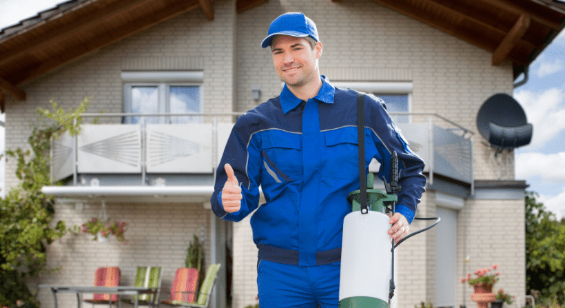 Pest Control Strategies