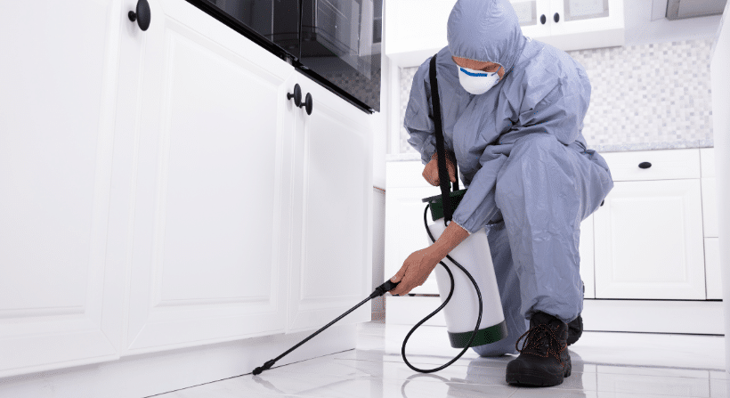 After treatment steps