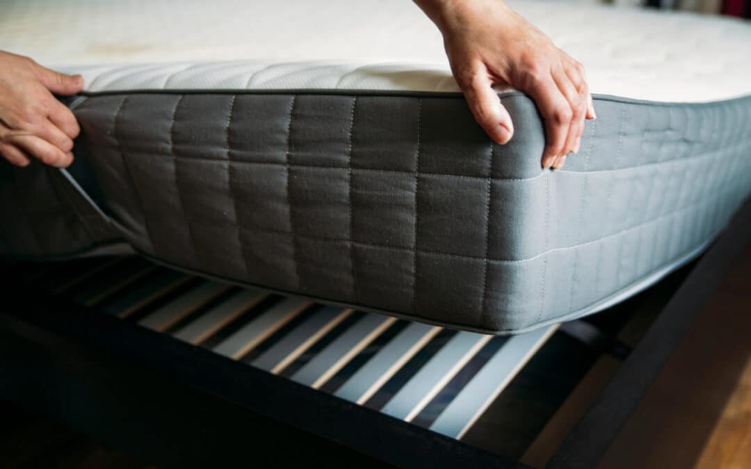 How Bed Bug Infestations Spread and How to Prevent Them