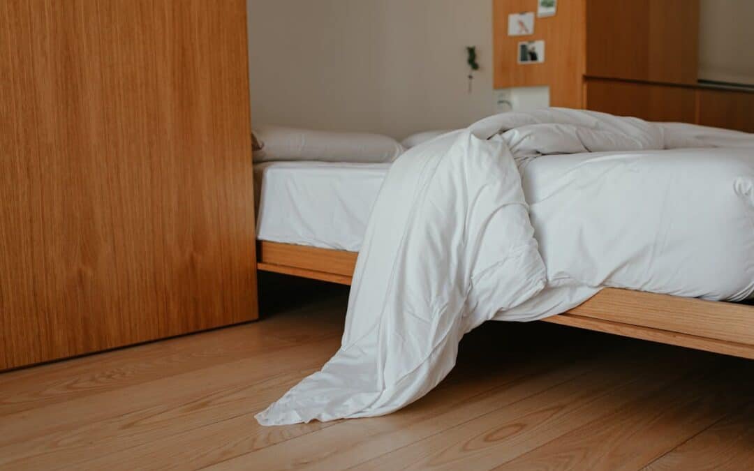 What to Do When You Find Bed Bugs in Your Mattress