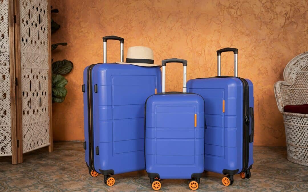 Best Practices for Storing Luggage to Prevent Bed Bugs