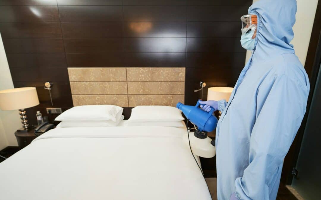 Bed Bug Detection Techniques You Can Rely On